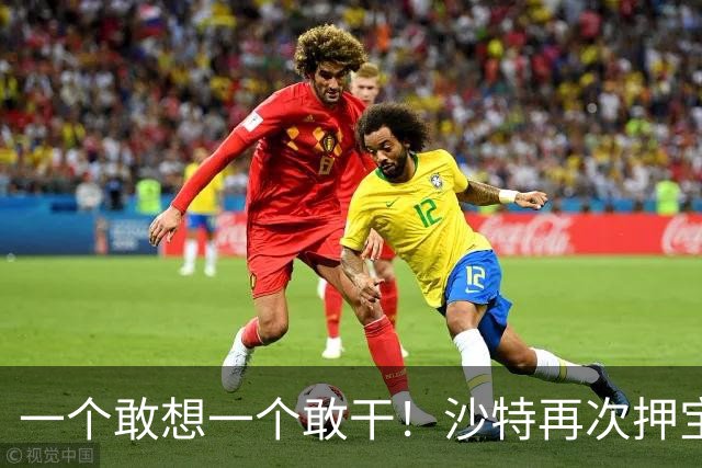 一个敢想一个敢干！沙特再次押宝中国，砸重金联手在沙漠干件大事