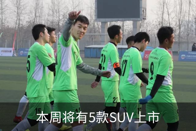 本周将有5款SUV上市